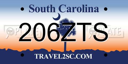206ZTS South Carolina License Plate