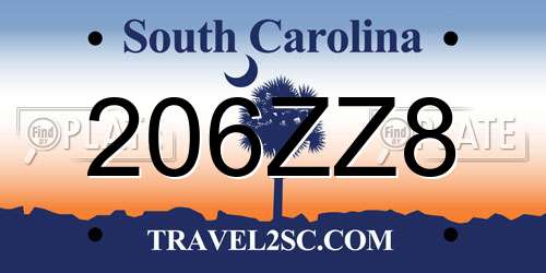 206ZZ8 South Carolina License Plate