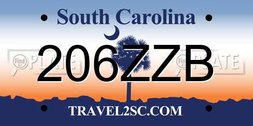 206ZZB South Carolina License Plate