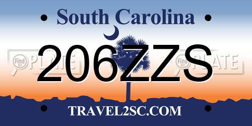 206ZZS South Carolina License Plate