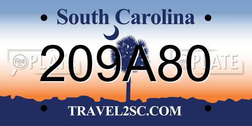 209A80 South Carolina License Plate