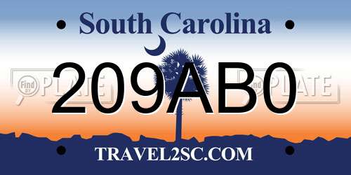 209AB0 South Carolina License Plate