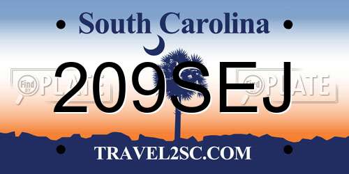 209SEJ South Carolina License Plate