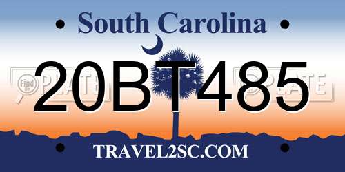 20BT485 South Carolina License Plate
