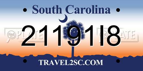 21191I8 South Carolina License Plate