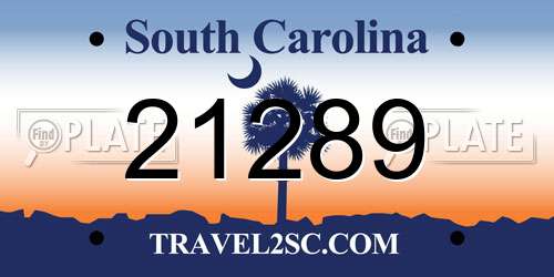 21289 South Carolina License Plate