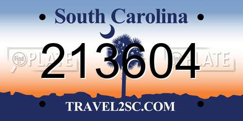 213604 South Carolina License Plate