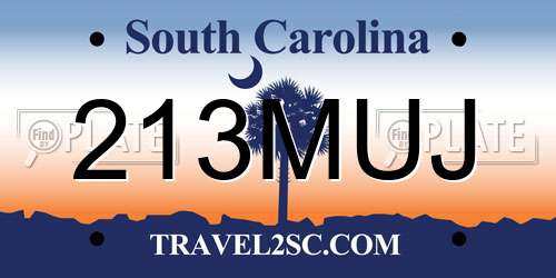 213MUJ South Carolina License Plate