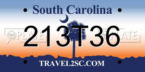 213T36 South Carolina License Plate