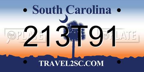 213T91 South Carolina License Plate
