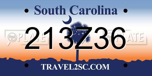 213Z36 South Carolina License Plate