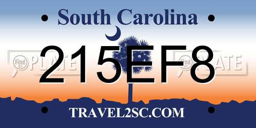 215EF8 South Carolina License Plate