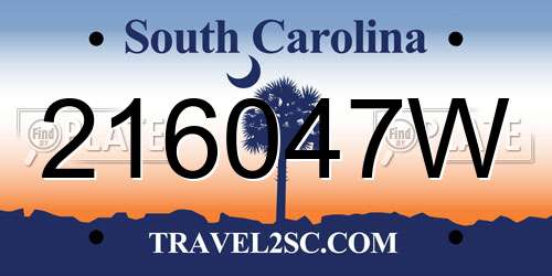 216047W South Carolina License Plate