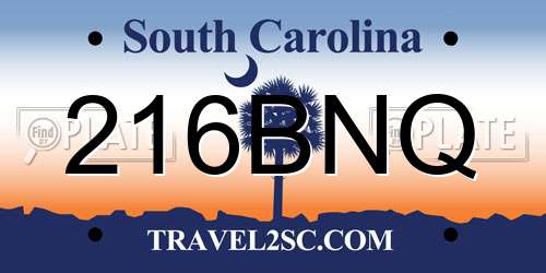 216BNQ South Carolina License Plate