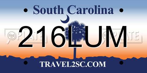 216LUM South Carolina License Plate
