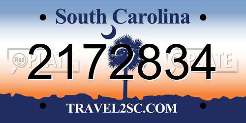 2172834 South Carolina License Plate