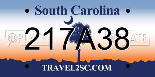 217A38 South Carolina License Plate