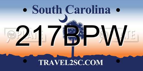 217BPW South Carolina License Plate