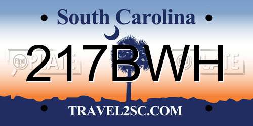 217BWH South Carolina License Plate