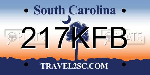 217KFB South Carolina License Plate