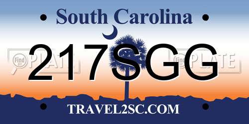 217SGG South Carolina License Plate