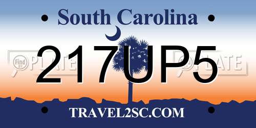 217UP5 South Carolina License Plate