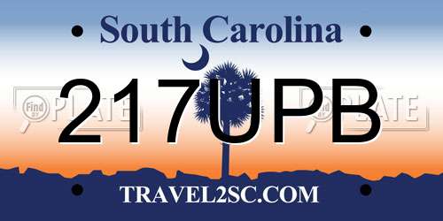 217UPB South Carolina License Plate