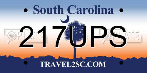 217UPS South Carolina License Plate
