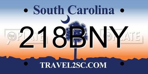 218BNY South Carolina License Plate