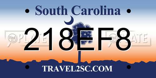 218EF8 South Carolina License Plate