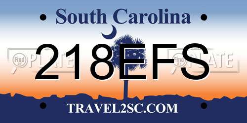 218EFS South Carolina License Plate