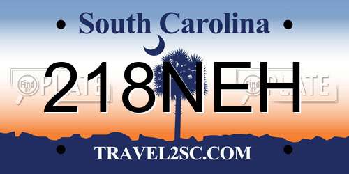 218NEH South Carolina License Plate