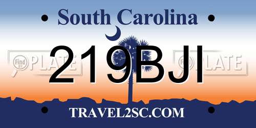 219BJI South Carolina License Plate
