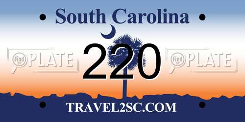 220 South Carolina License Plate