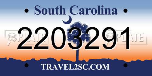 2203291 South Carolina License Plate