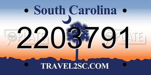 2203791 South Carolina License Plate