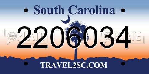 2206034 South Carolina License Plate