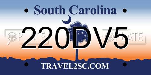 220DV5 South Carolina License Plate