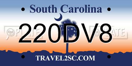 220DV8 South Carolina License Plate