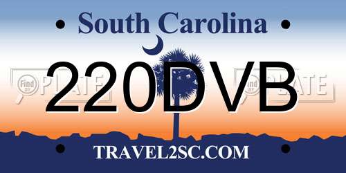 220DVB South Carolina License Plate