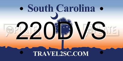 220DVS South Carolina License Plate