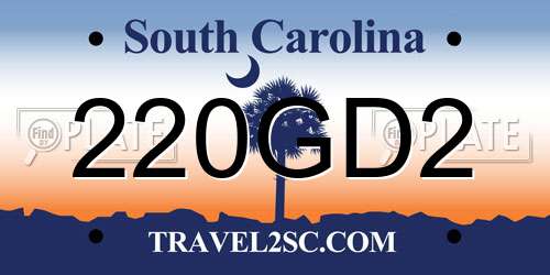 220GD2 South Carolina License Plate