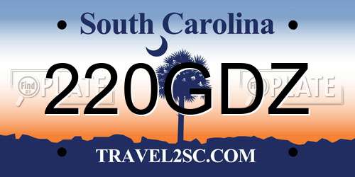 220GDZ South Carolina License Plate