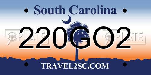 220GO2 South Carolina License Plate