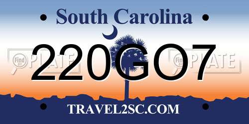 220GO7 South Carolina License Plate