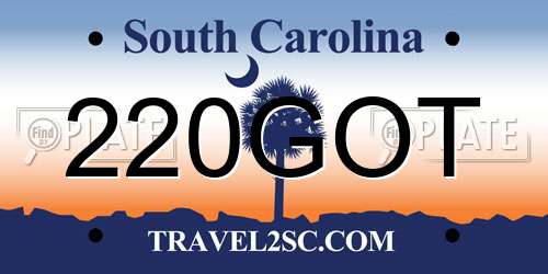 220GOT South Carolina License Plate