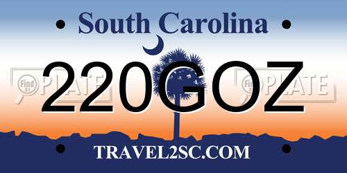 220GOZ South Carolina License Plate