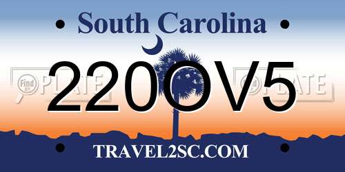 220OV5 South Carolina License Plate