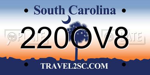 220OV8 South Carolina License Plate