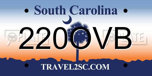 220OVB South Carolina License Plate